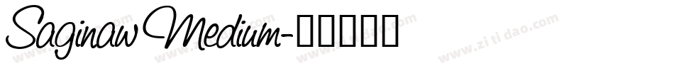 Saginaw Medium字体转换